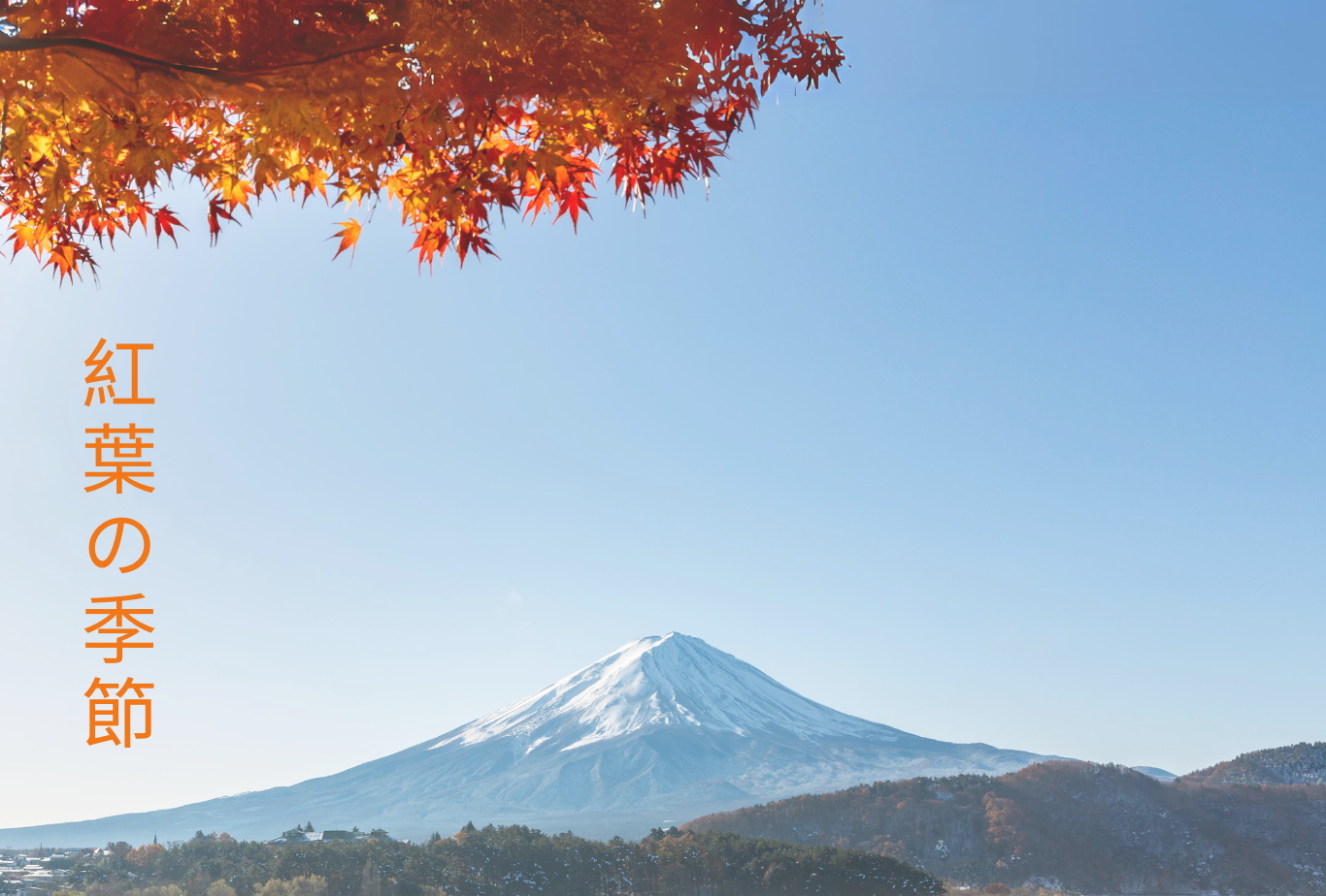 2024 Japan Maple Leaves Pre-Wedding Photoshoot Promotion