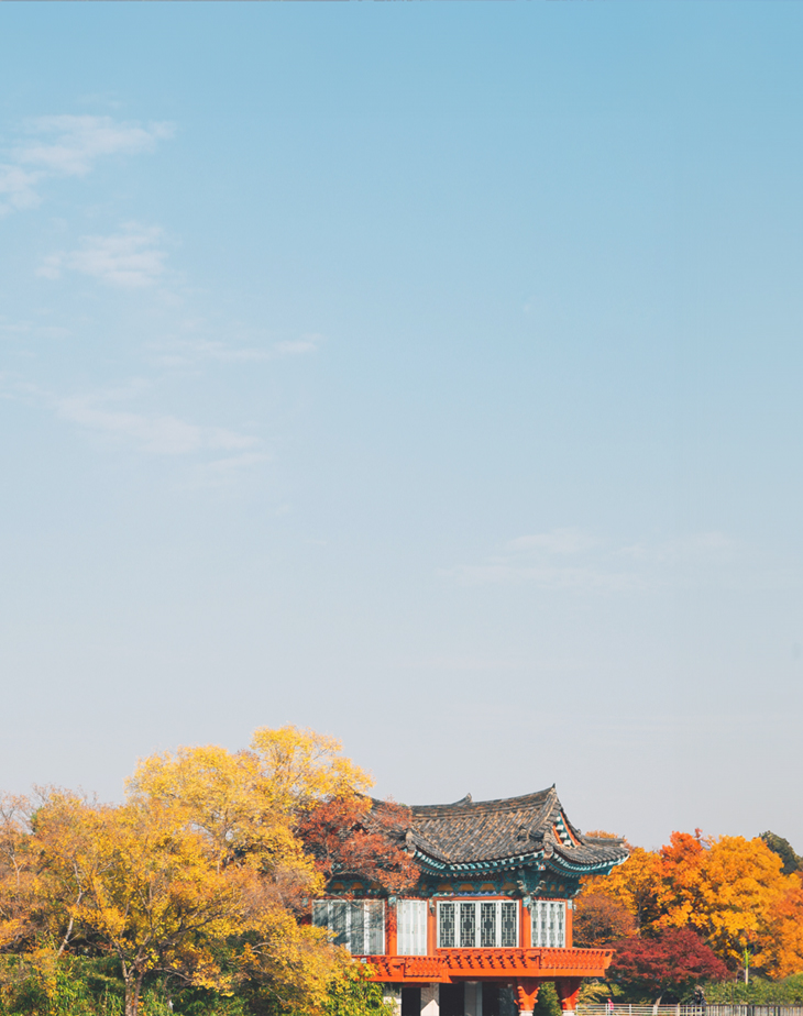 2024 Korea Maple Leaves Pre-Wedding Photoshoot Promotion