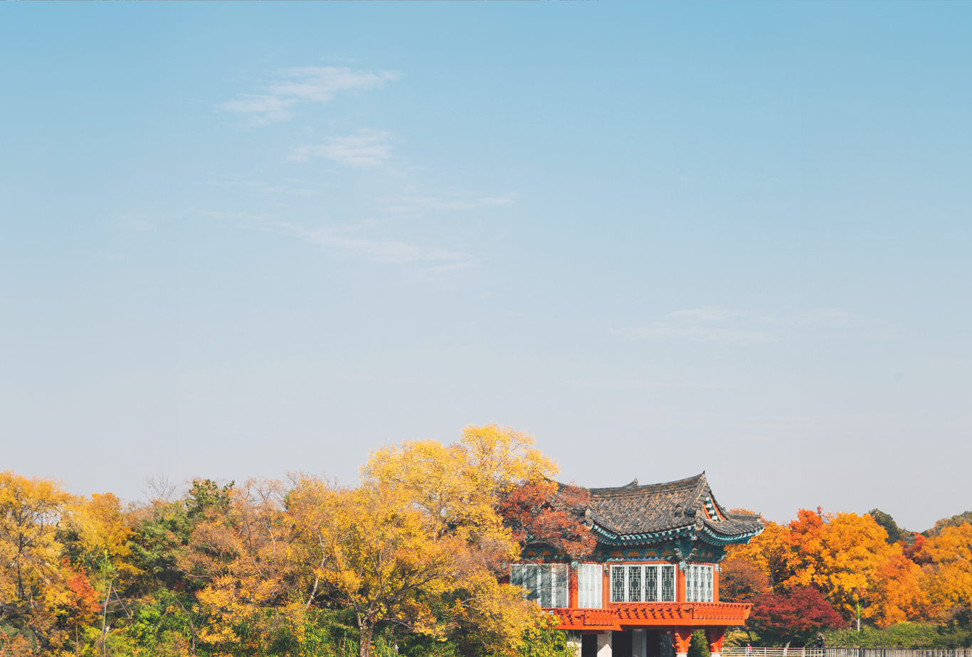 2024 Korea Maple Leaves Pre-Wedding Photoshoot Promotion