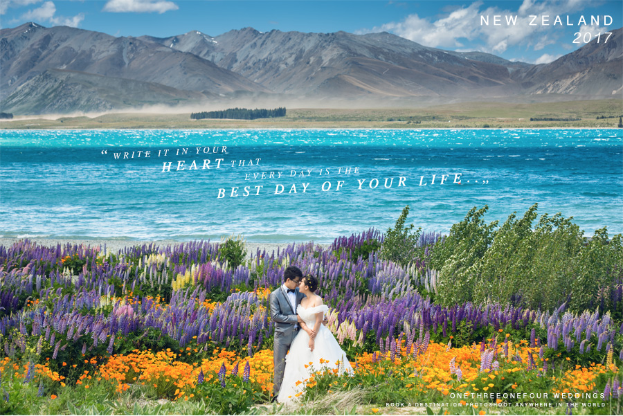  New Zealand Lupins Pre Wedding Photography OneThreeOneFour